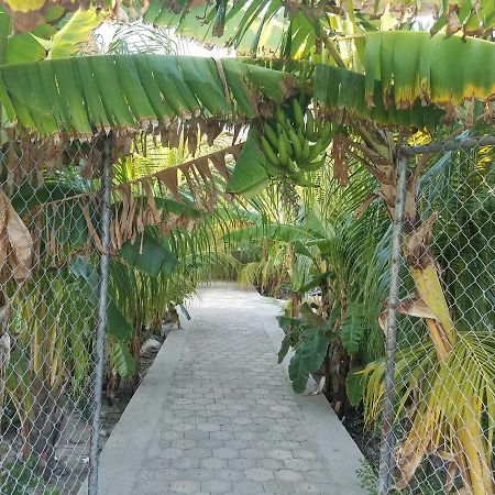 Auberge Pont-Gaudin Gonaives Екстер'єр фото